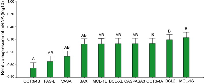 Fig. 10