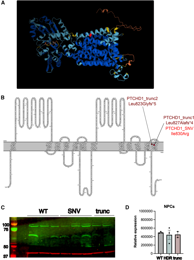 Figure 1