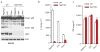 Extended Data Figure 3