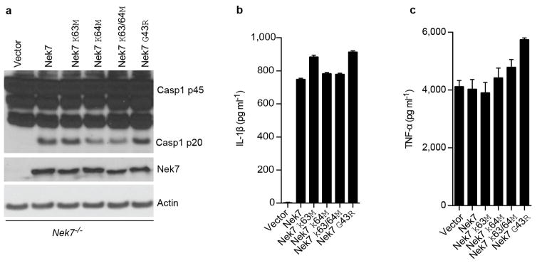 Extended Data Figure 6