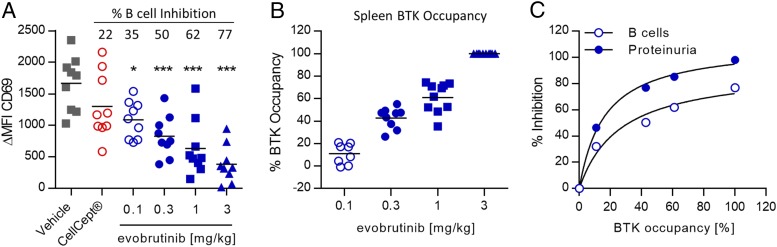 FIGURE 11.