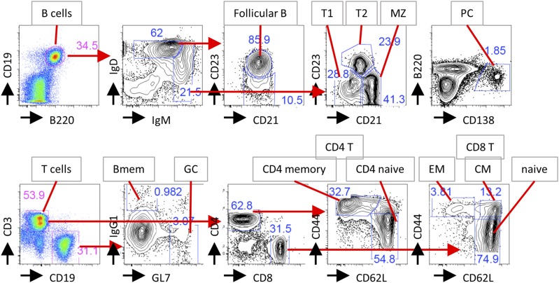 FIGURE 9.