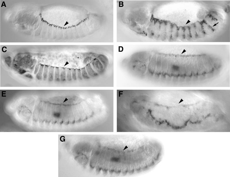 FIG. 9.