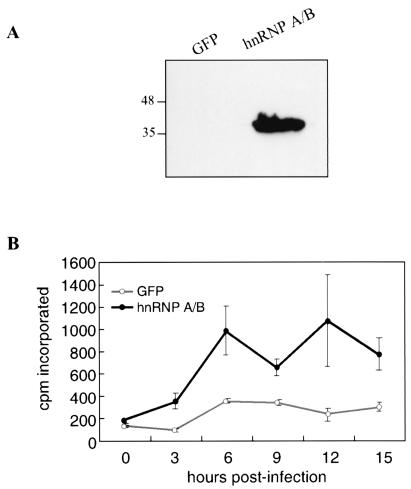 FIG. 6.