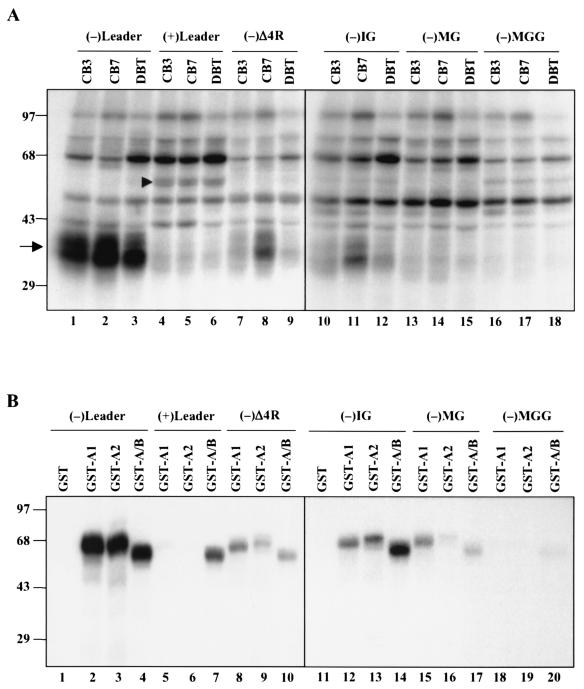 FIG. 4.