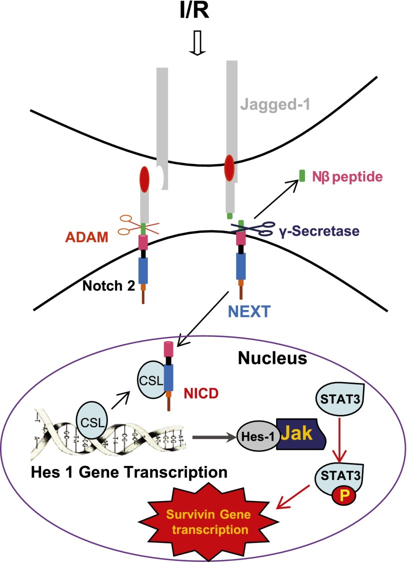 Figure 9.