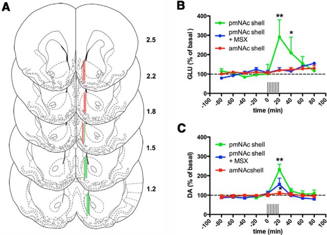 Figure 6.