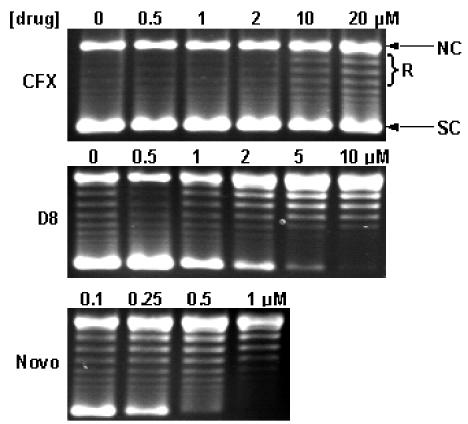 FIG. 5.