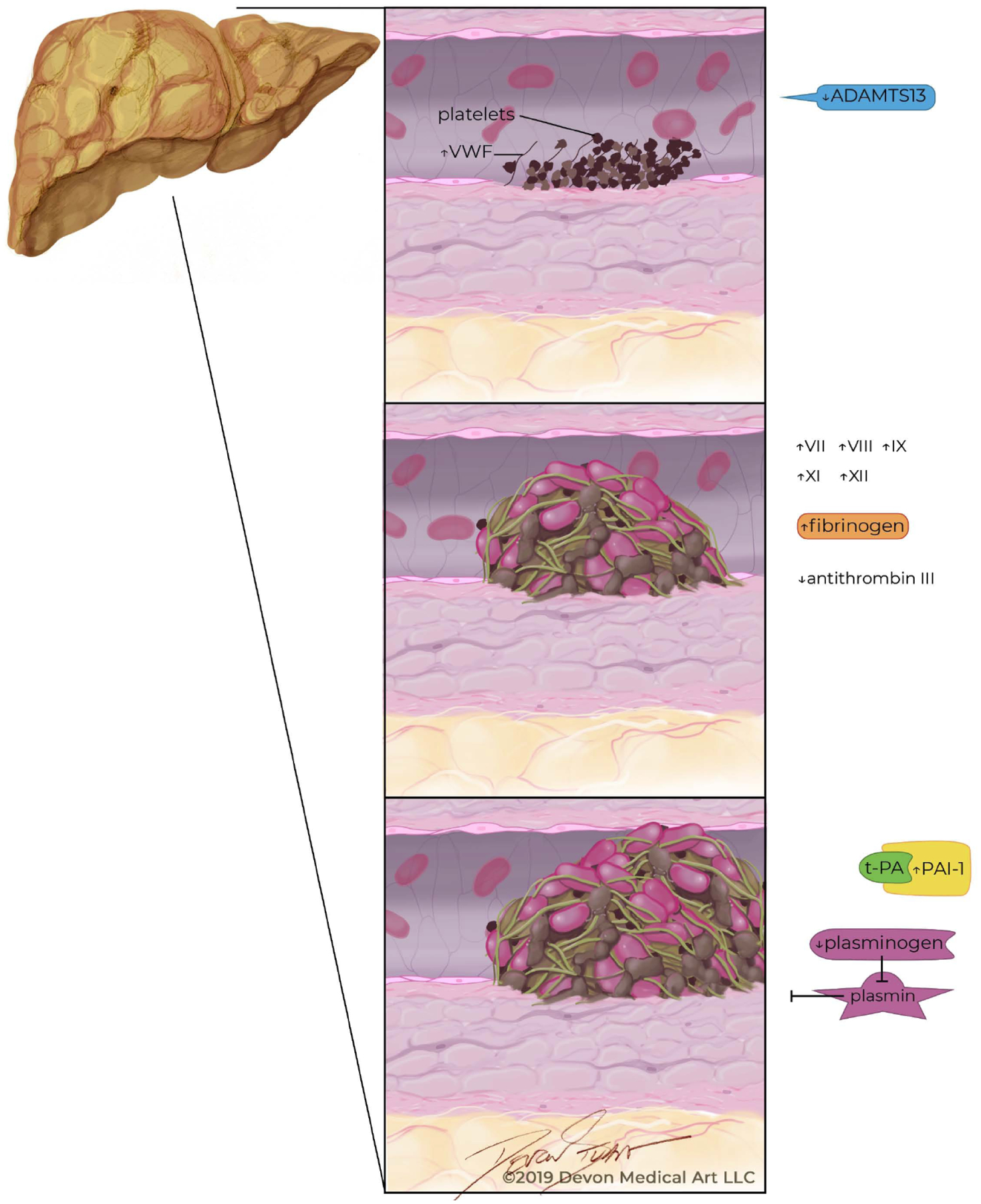 Fig. (2).