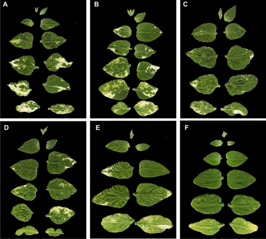 Fig. 3