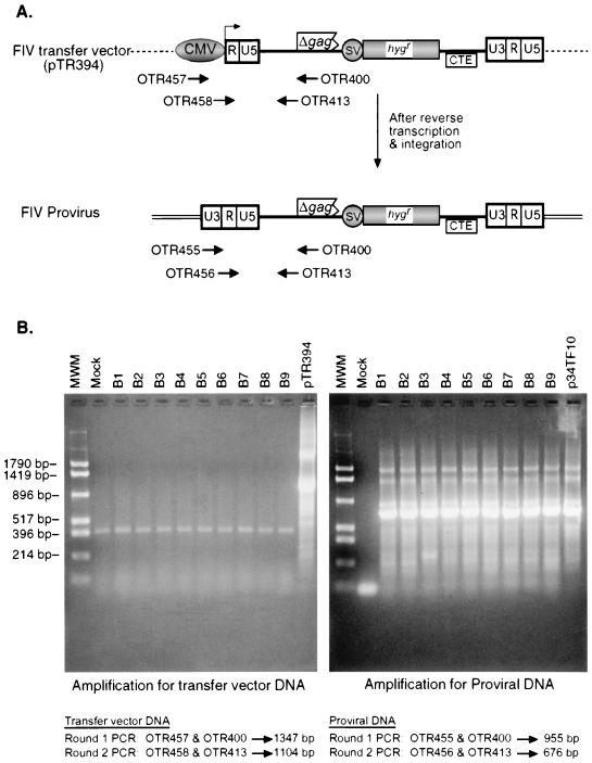 FIG. 4