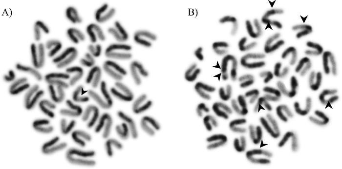 Fig. 11