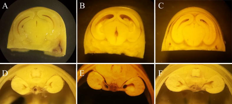 Fig. 3