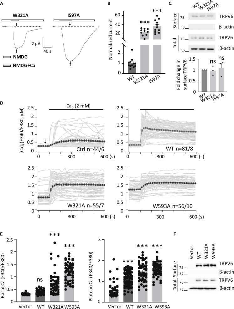 Figure 2