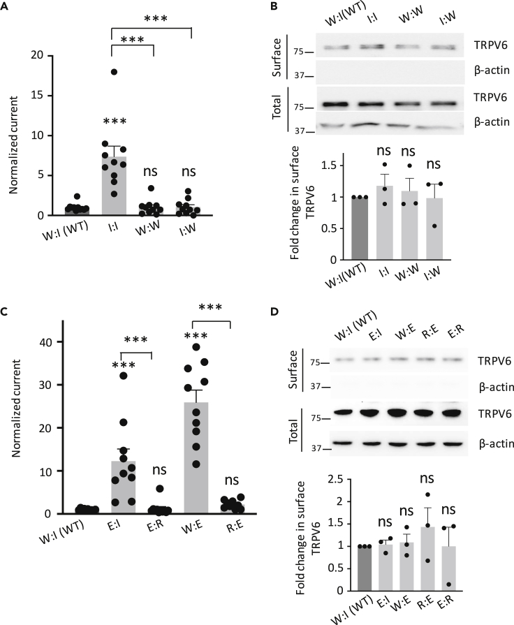 Figure 3