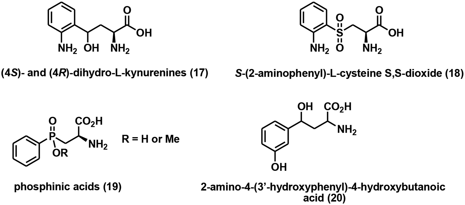 Fig. (6).