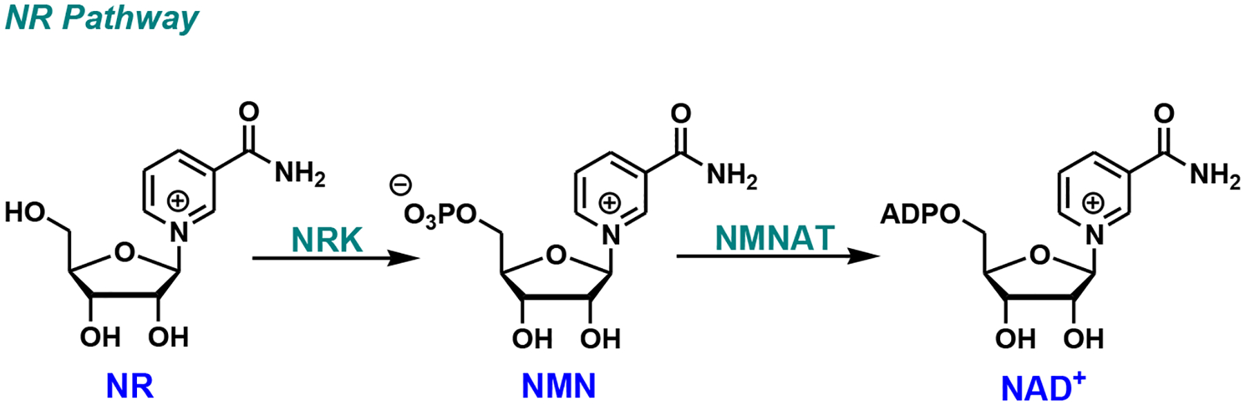 Fig. (3).