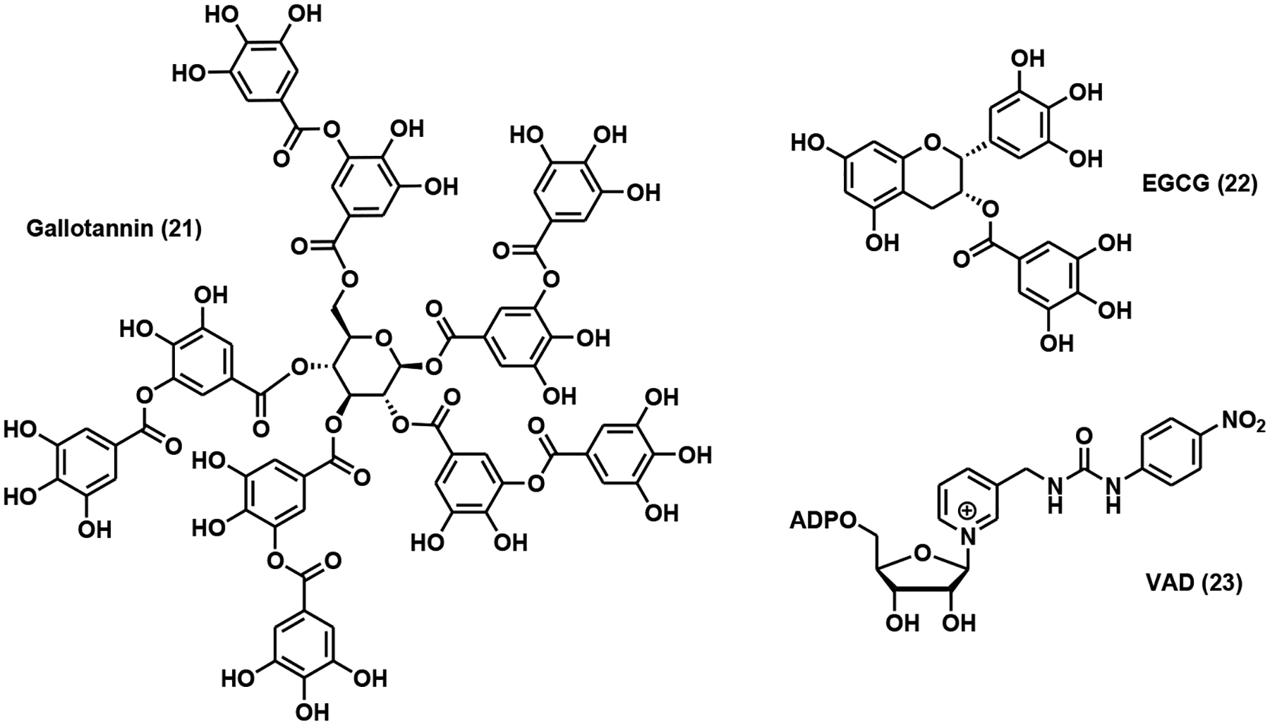 Fig. (7).