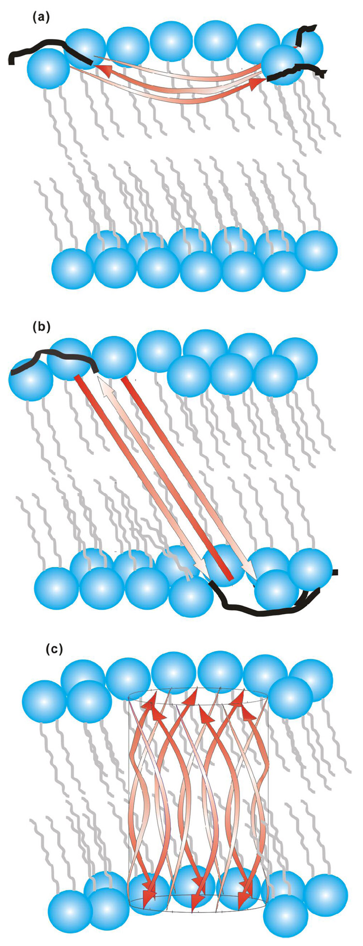 Figure 8