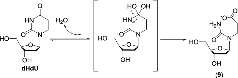 Scheme 4