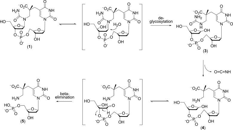 Scheme 3