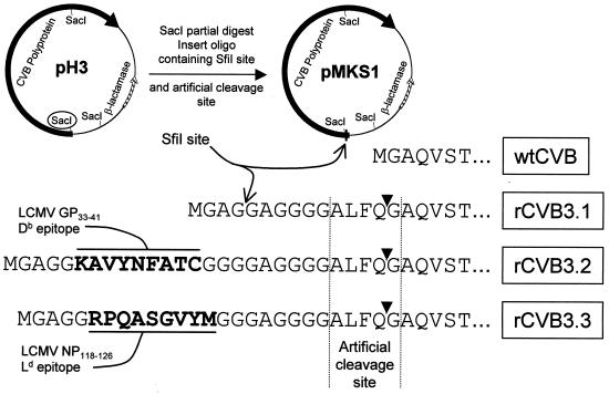 FIG. 1