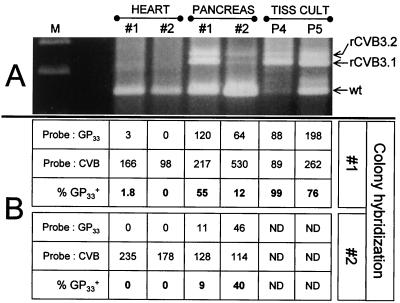 FIG. 9