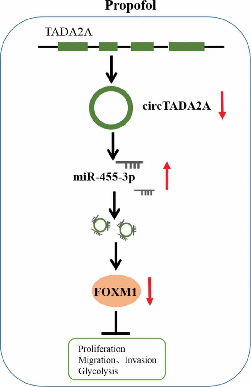 Figure 10.