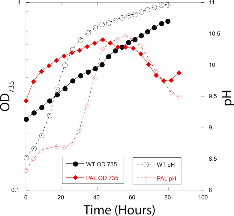 Fig 2