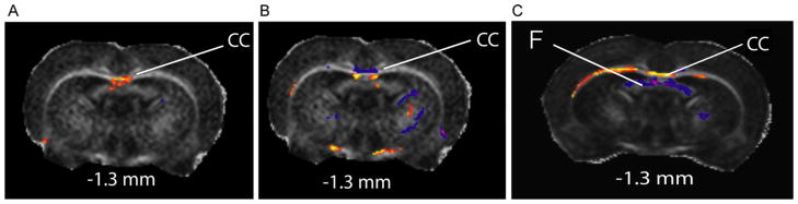 Fig. 7