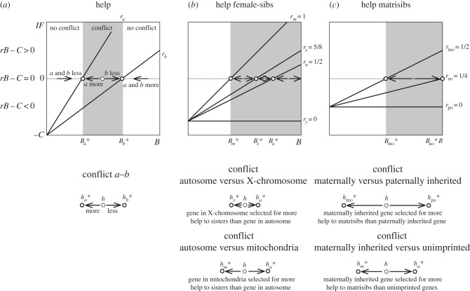 Figure 1.