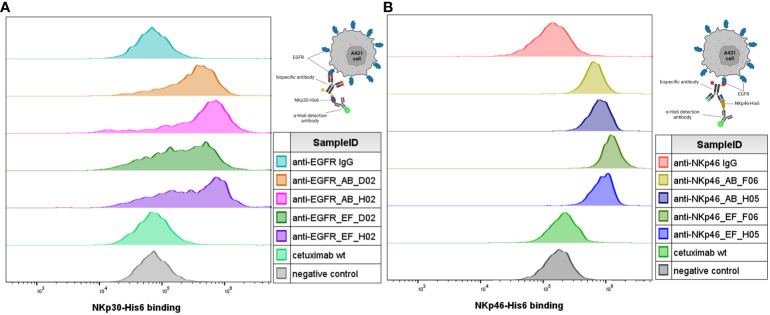 Figure 4