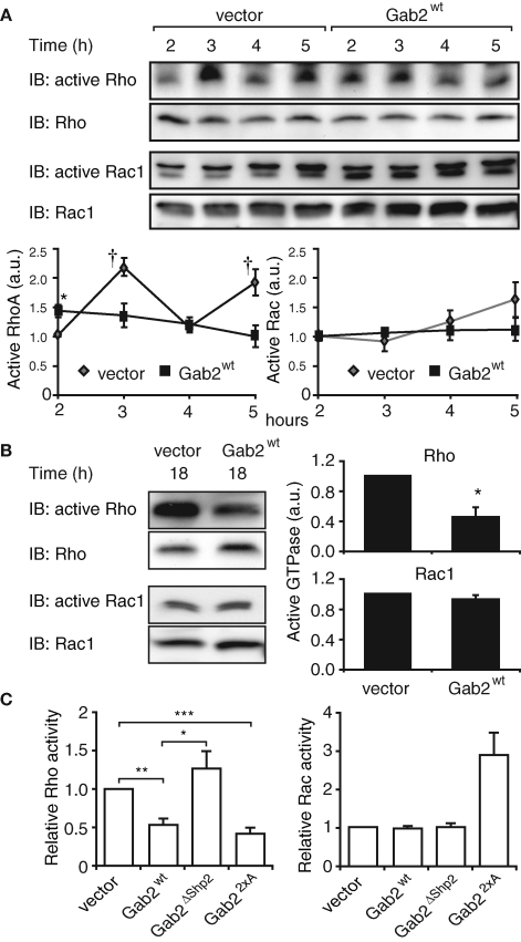 FIGURE 6: