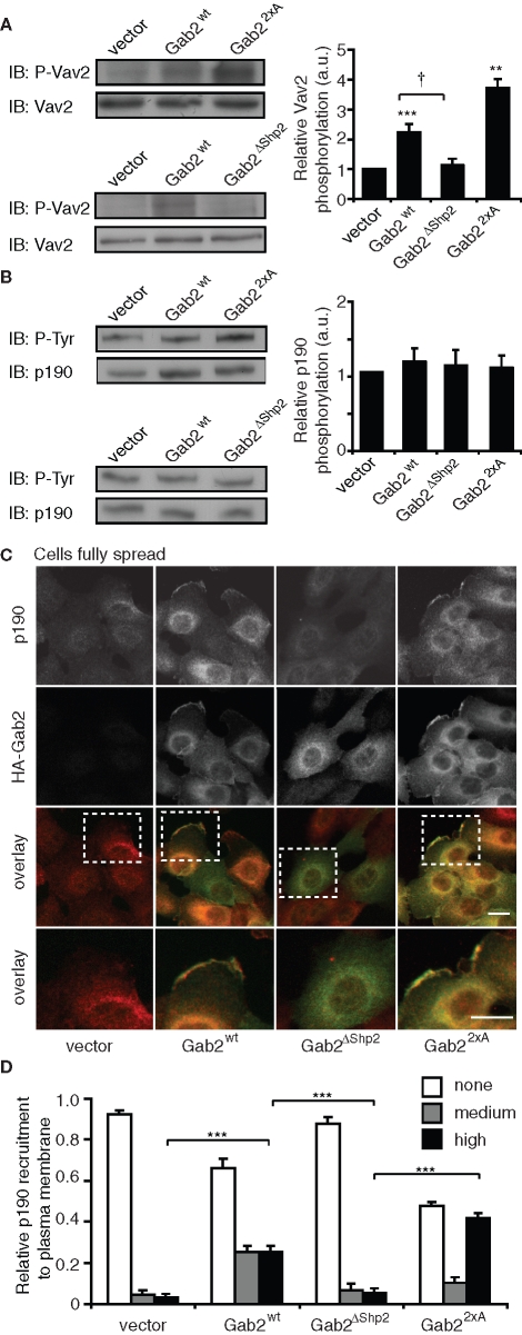 FIGURE 9: