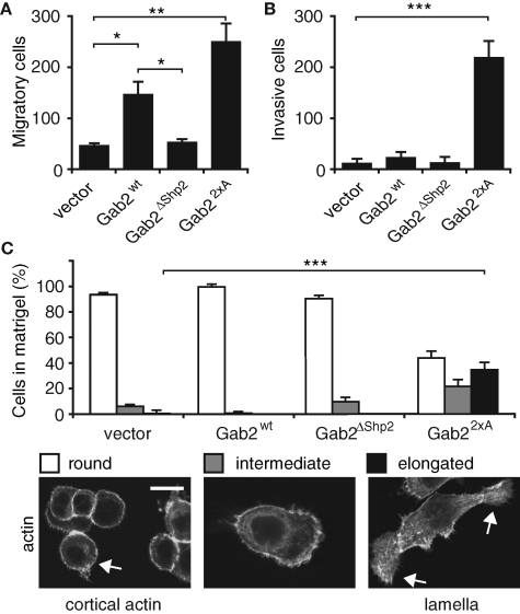 FIGURE 5: