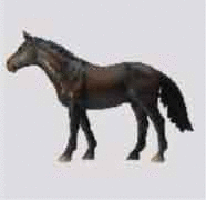 graphic file with name HLLD_A_1670184_ILG0002.gif