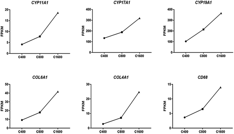 Figure 2