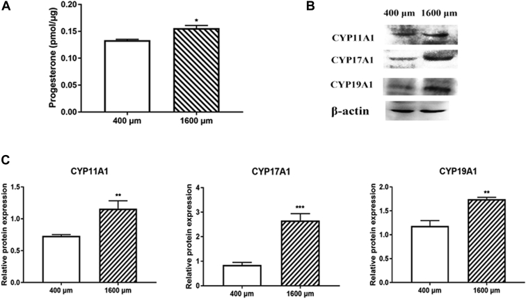 Figure 6