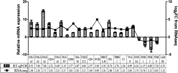 Figure 4