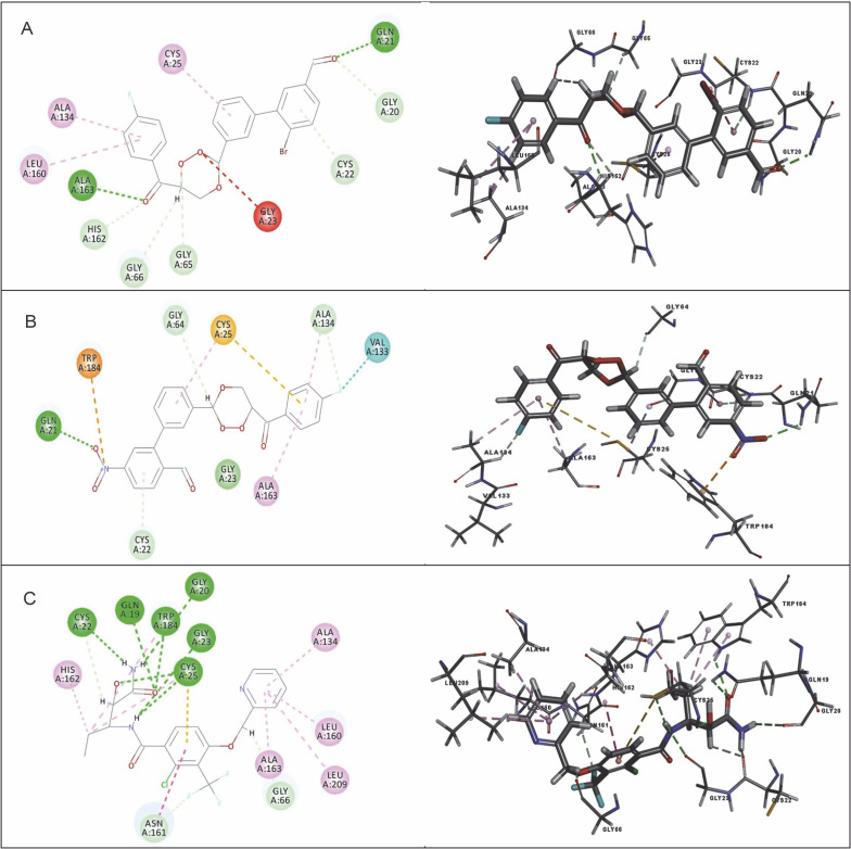 Fig. 10