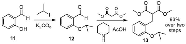 Scheme 4