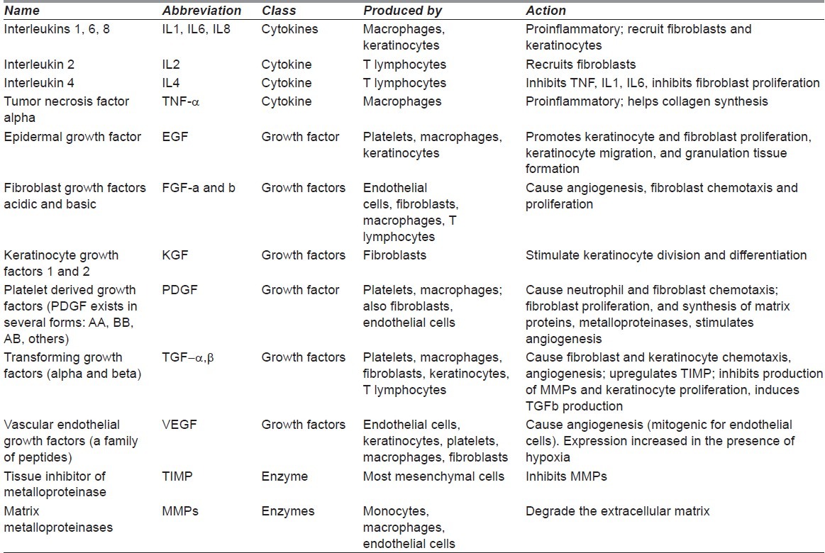 graphic file with name IJPS-45-220-g002.jpg