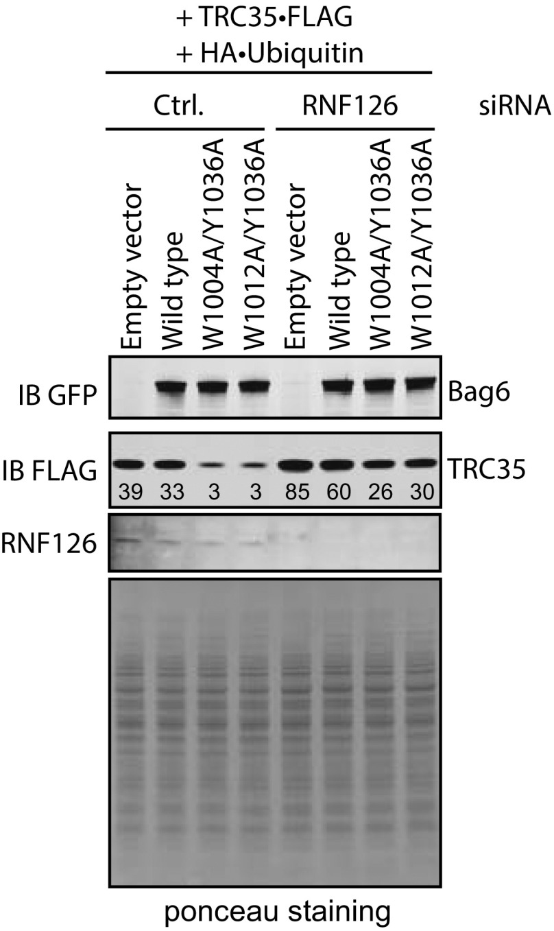 Fig. S6.