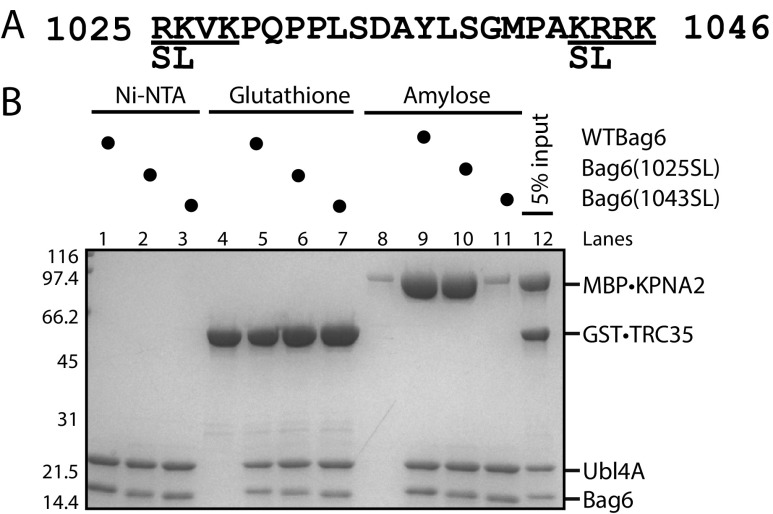 Fig. S7.