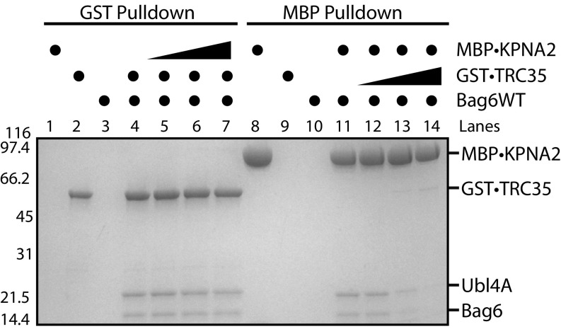 Fig. 5.