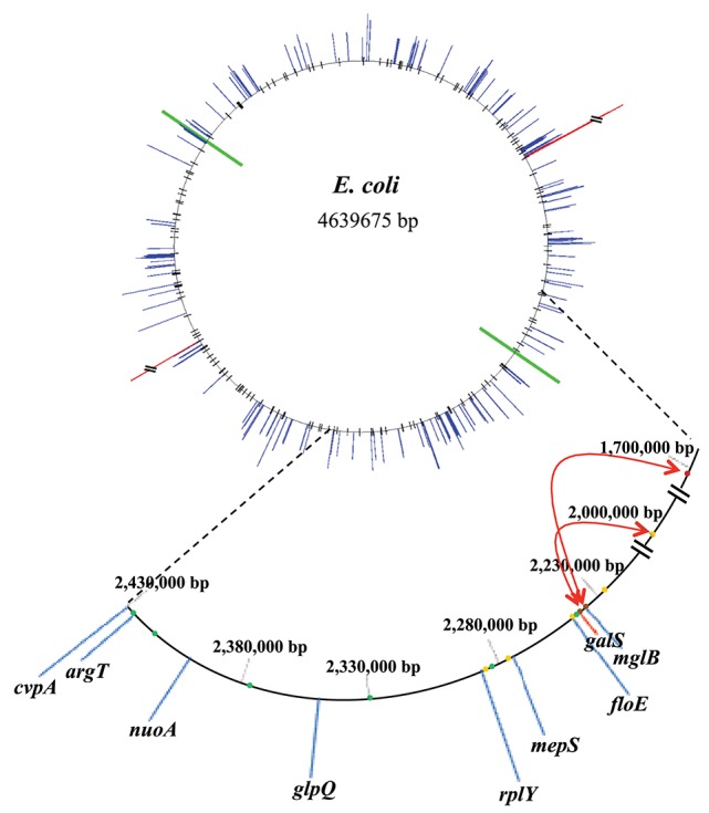 Figure 7