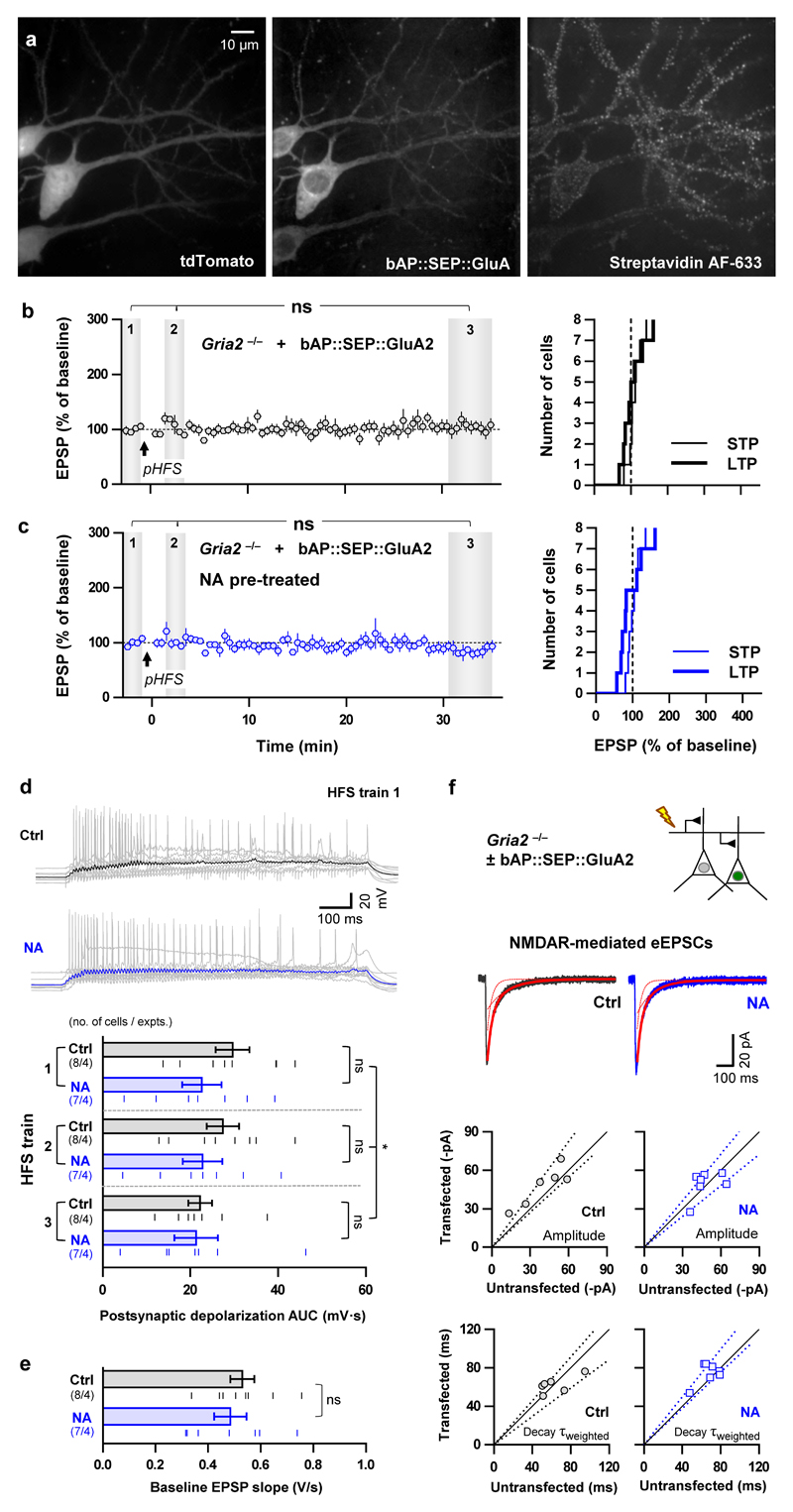 Extended Data Figure 2