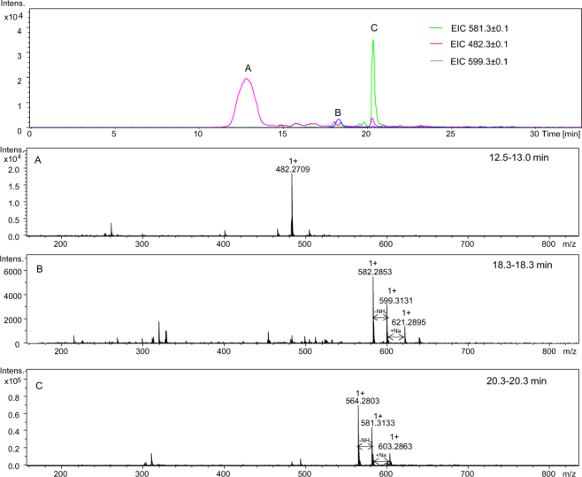 Figure 13