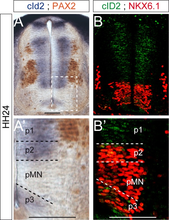 Figure 2—figure supplement 2.