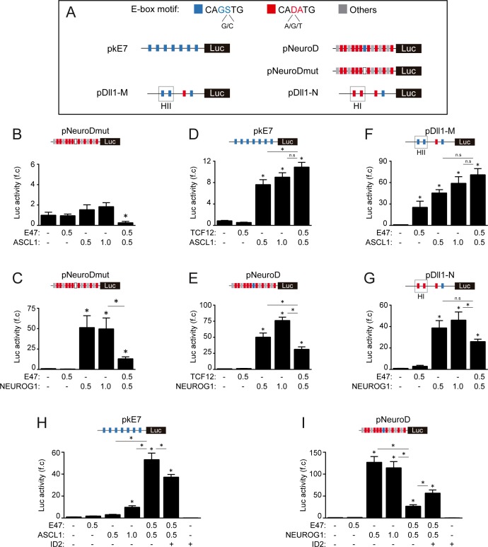 Figure 6—figure supplement 2.